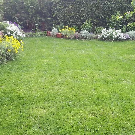 Apartment Wernigerode-ferienwohnung-schultz *